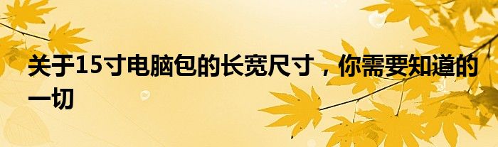 关于15寸电脑包的长宽尺寸，你需要知道的一切