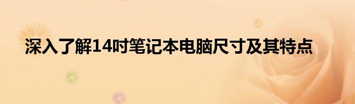 深入了解14吋笔记本电脑尺寸及其特点