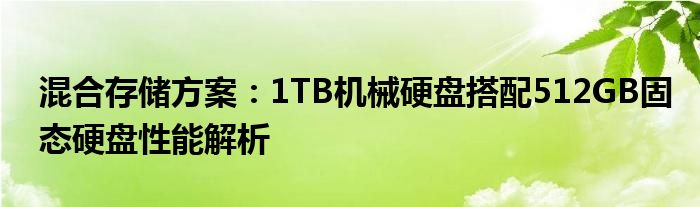 混合存储方案：1TB机械硬盘搭配512GB固态硬盘性能解析