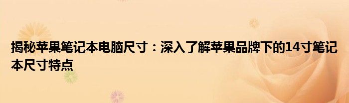 揭秘苹果笔记本电脑尺寸：深入了解苹果品牌下的14寸笔记本尺寸特点