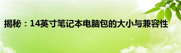 揭秘：14英寸笔记本电脑包的大小与兼容性