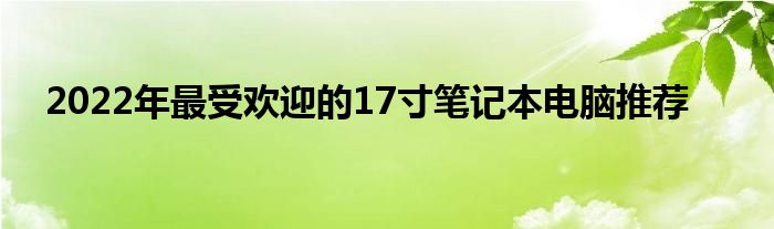 2022年最受欢迎的17寸笔记本电脑推荐