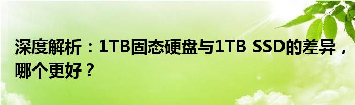 深度解析：1TB固态硬盘与1TB SSD的差异，哪个更好？