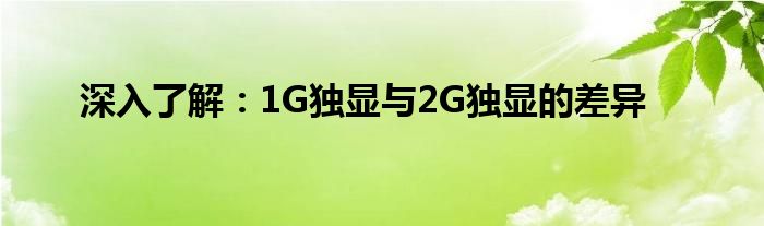 深入了解：1G独显与2G独显的差异