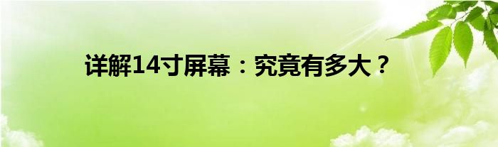 详解14寸屏幕：究竟有多大？