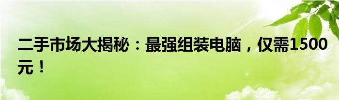 二手市场大揭秘：最强组装电脑，仅需1500元！