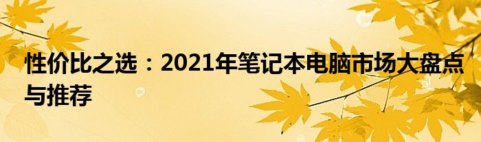 性价比之选：2021年笔记本电脑市场大盘点与推荐