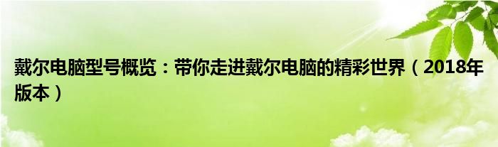 戴尔电脑型号概览：带你走进戴尔电脑的精彩世界（2018年版本）