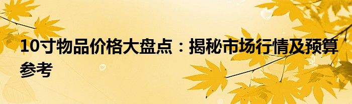 10寸物品价格大盘点：揭秘市场行情及预算参考