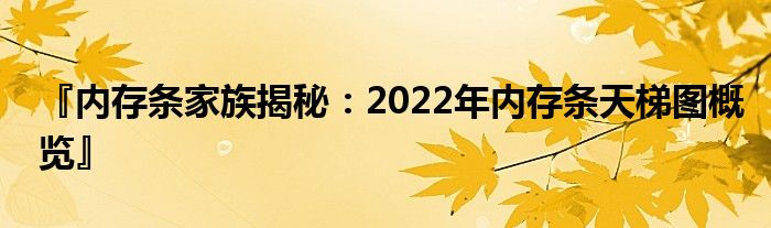 『内存条家族揭秘：2022年内存条天梯图概览』