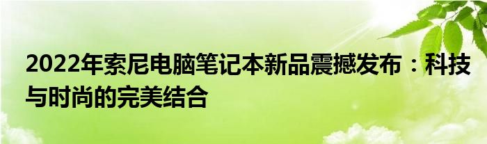 2022年索尼电脑笔记本新品震撼发布：科技与时尚的完美结合