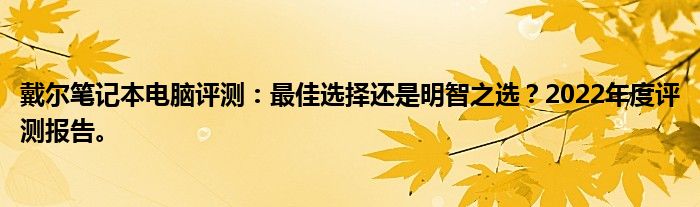 戴尔笔记本电脑评测：最佳选择还是明智之选？2022年度评测报告。