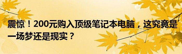 震惊！200元购入顶级笔记本电脑，这究竟是一场梦还是现实？