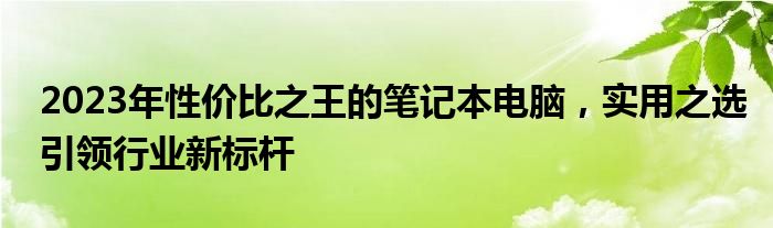 2023年性价比之王的笔记本电脑，实用之选引领行业新标杆