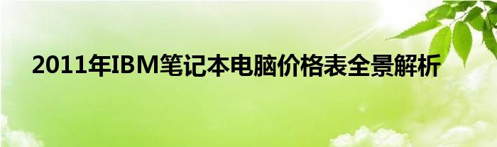 2011年IBM笔记本电脑价格表全景解析