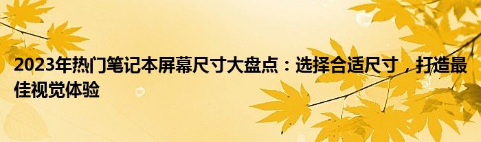 2023年热门笔记本屏幕尺寸大盘点：选择合适尺寸，打造最佳视觉体验