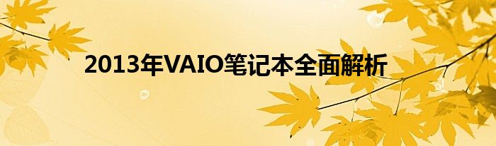 2013年VAIO笔记本全面解析