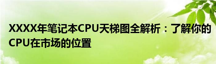 XXXX年笔记本CPU天梯图全解析：了解你的CPU在市场的位置