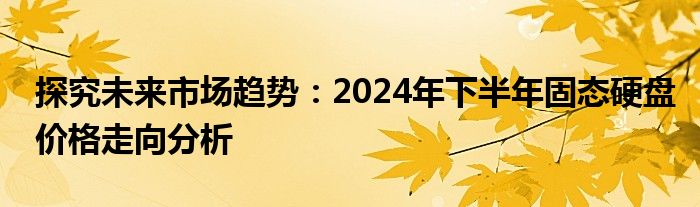 探究未来市场趋势：2024年下半年固态硬盘价格走向分析