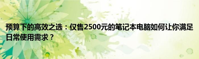 预算下的高效之选：仅售2500元的笔记本电脑如何让你满足日常使用需求？