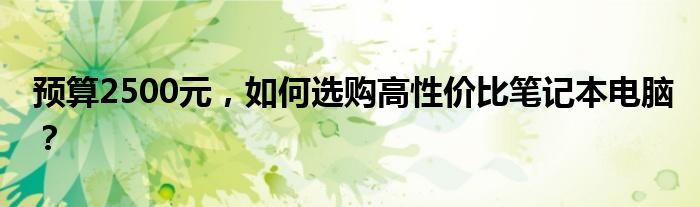 预算2500元，如何选购高性价比笔记本电脑？