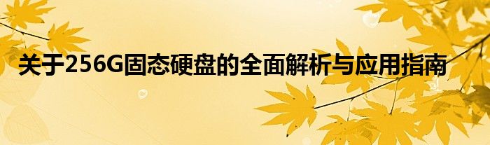 关于256G固态硬盘的全面解析与应用指南