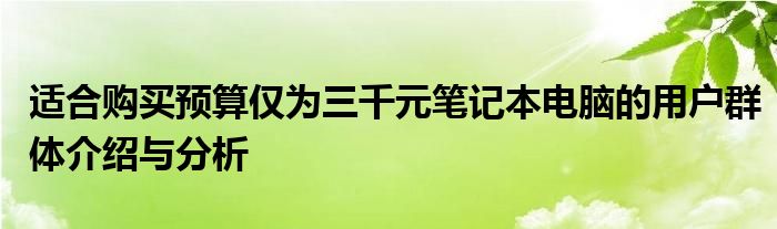 适合购买预算仅为三千元笔记本电脑的用户群体介绍与分析