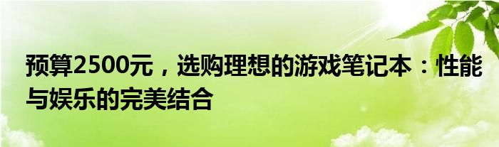 预算2500元，选购理想的游戏笔记本：性能与娱乐的完美结合