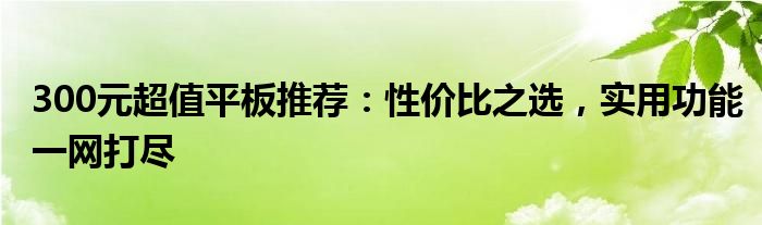 300元超值平板推荐：性价比之选，实用功能一网打尽