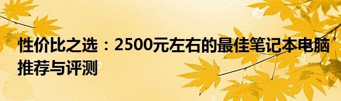 性价比之选：2500元左右的最佳笔记本电脑推荐与评测