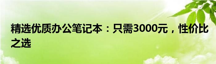 精选优质办公笔记本：只需3000元，性价比之选