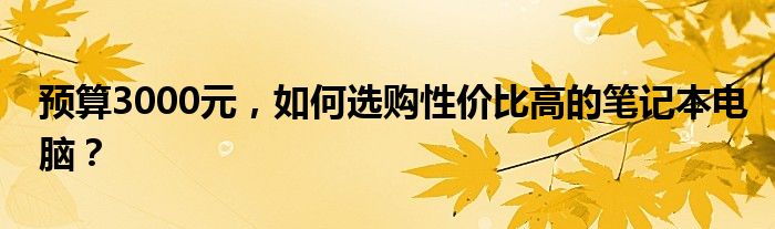 预算3000元，如何选购性价比高的笔记本电脑？