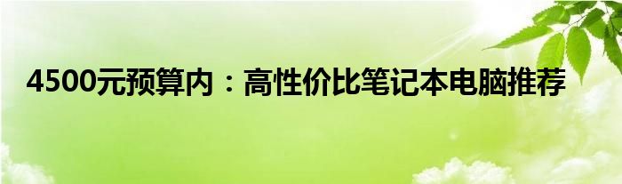 4500元预算内：高性价比笔记本电脑推荐