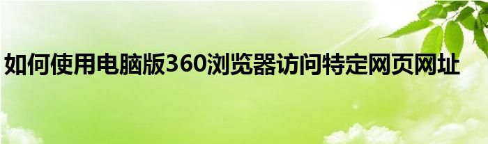 如何使用电脑版360浏览器访问特定网页网址