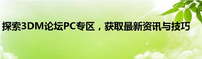 探索3DM论坛PC专区，获取最新资讯与技巧