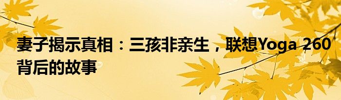 妻子揭示真相：三孩非亲生，联想Yoga 260背后的故事