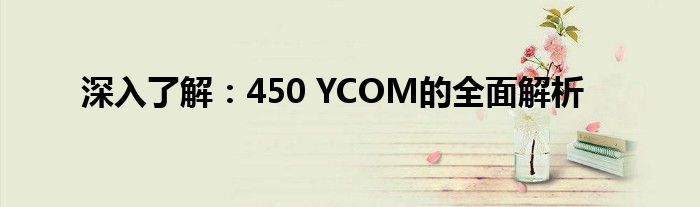 深入了解：450 YCOM的全面解析