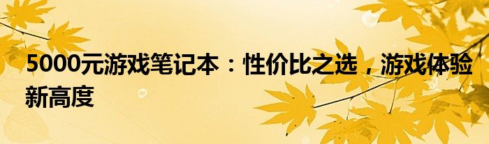 5000元游戏笔记本：性价比之选，游戏体验新高度