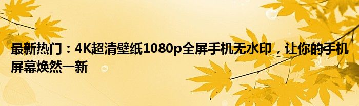 最新热门：4K超清壁纸1080p全屏手机无水印，让你的手机屏幕焕然一新