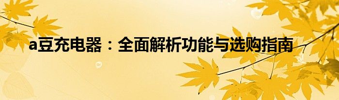 a豆充电器：全面解析功能与选购指南