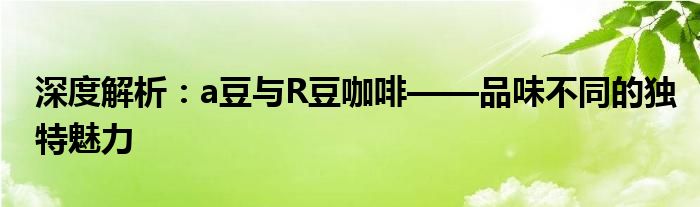 深度解析：a豆与R豆咖啡——品味不同的独特魅力