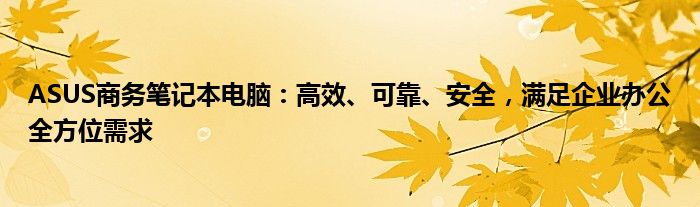 ASUS商务笔记本电脑：高效、可靠、安全，满足企业办公全方位需求