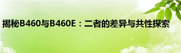 揭秘B460与B460E：二者的差异与共性探索