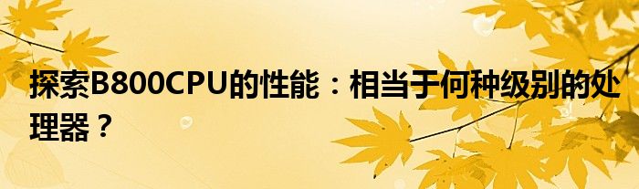 探索B800CPU的性能：相当于何种级别的处理器？