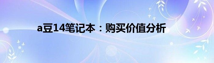 a豆14笔记本：购买价值分析