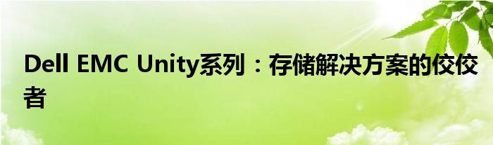 Dell EMC Unity系列：存储解决方案的佼佼者