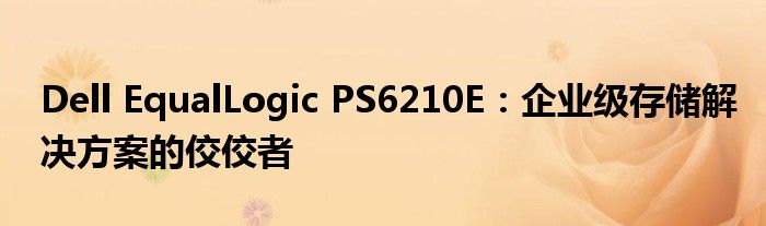 Dell EqualLogic PS6210E：企业级存储解决方案的佼佼者