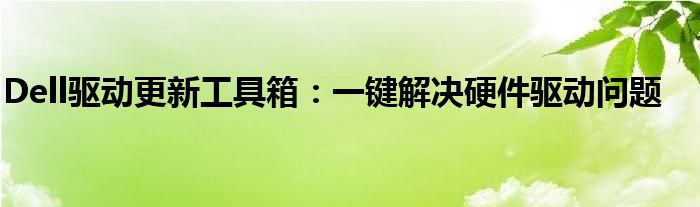 Dell驱动更新工具箱：一键解决硬件驱动问题