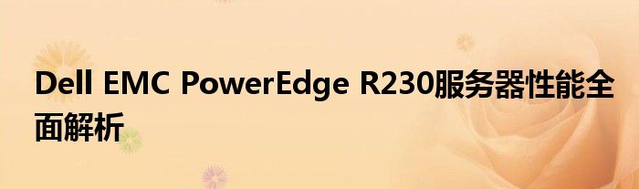 Dell EMC PowerEdge R230服务器性能全面解析