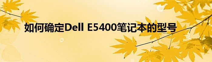 如何确定Dell E5400笔记本的型号